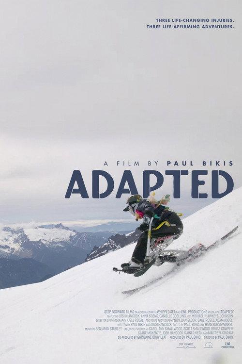 Adapted official movie poster
