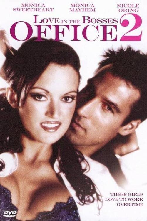 Love in the Bosses Office 2 2007 official movie poster