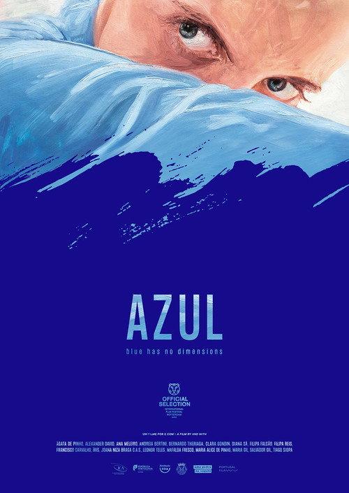 Blue Has No Dimensions 2022 official movie poster