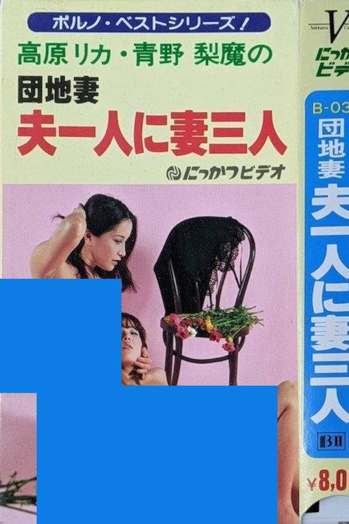 Apartment Wife: One Husband, Three Wives 1981 official movie poster