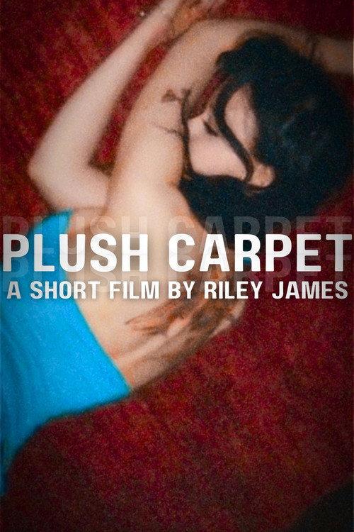 Plush Carpet 2025 official movie poster