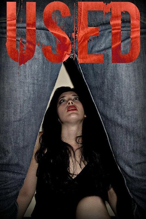 Used 2017 official movie poster