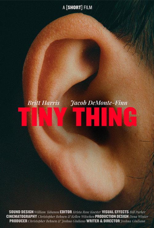 Tiny Thing 2023 official movie poster