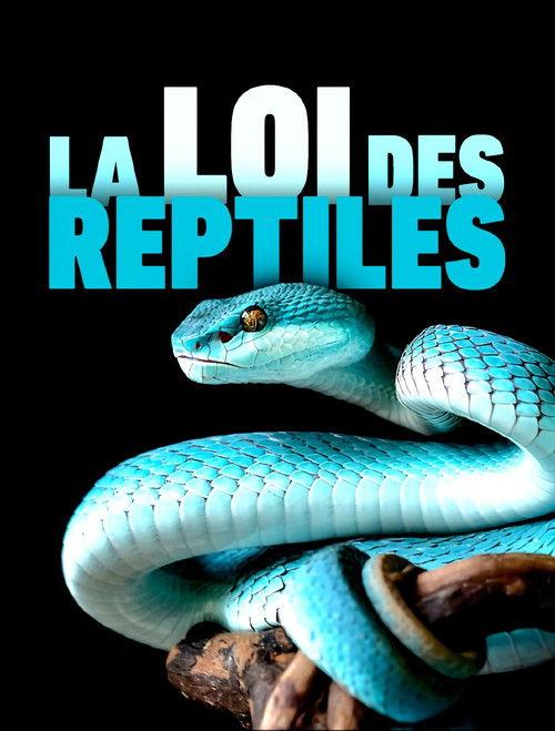 The Law of Reptiles 2017 official movie poster