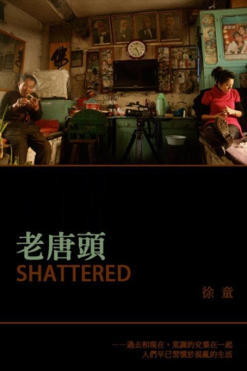 Shattered 2011 official movie poster