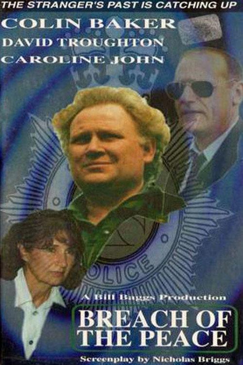 The Stranger: Breach of the Peace 1994 official movie poster