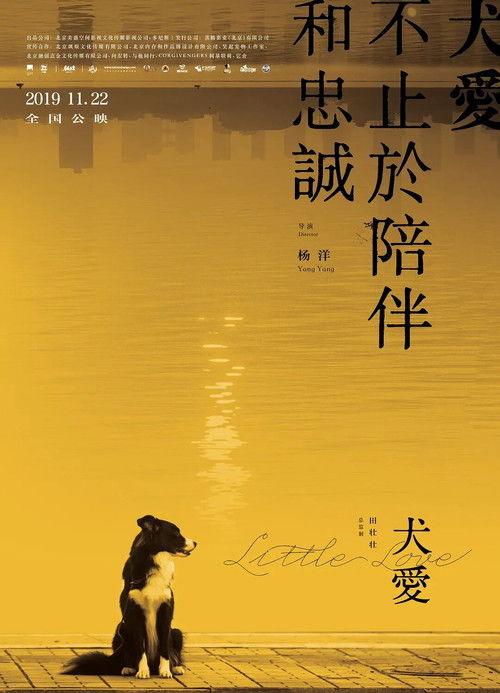 Little Love 2019 official movie poster