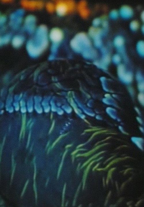 Arytmia 1980 official movie poster