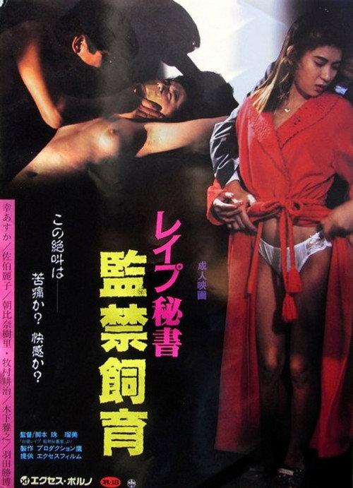 Secretary Confinement Breeding 1993 official movie poster