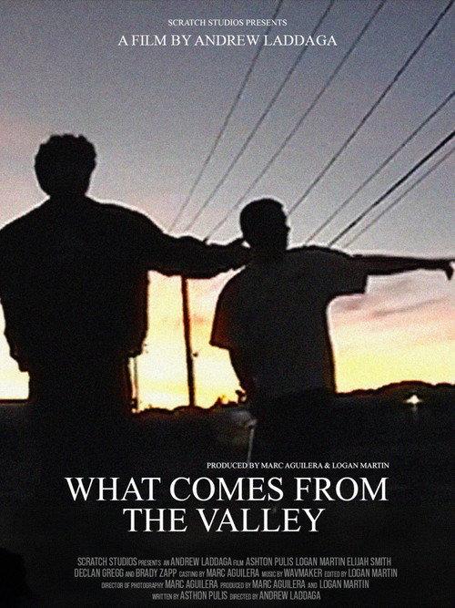 What Comes From the Valley 2026 official movie poster