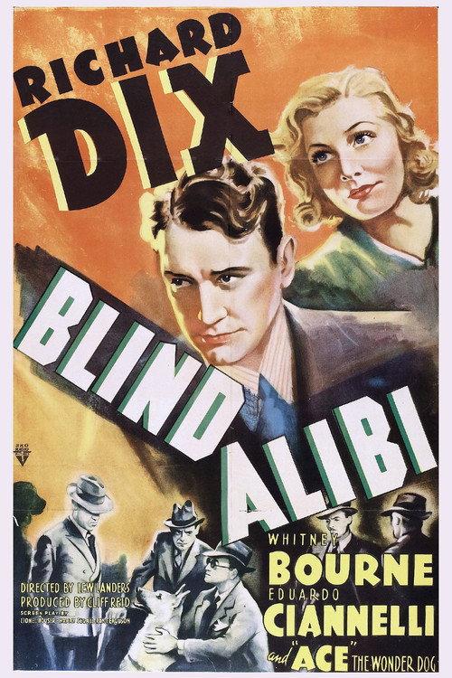 Blind Alibi 1938 official movie poster