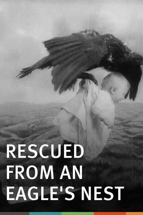 Rescued from an Eagle's Nest 1908 official movie poster