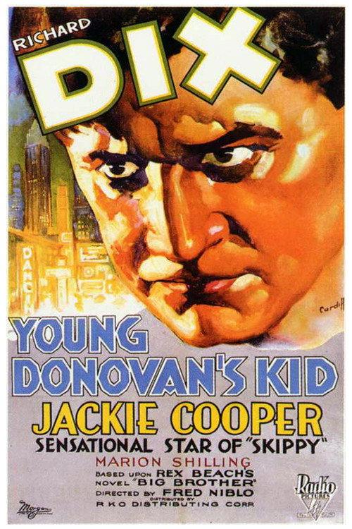 Young Donovan's Kid 1931 official movie poster