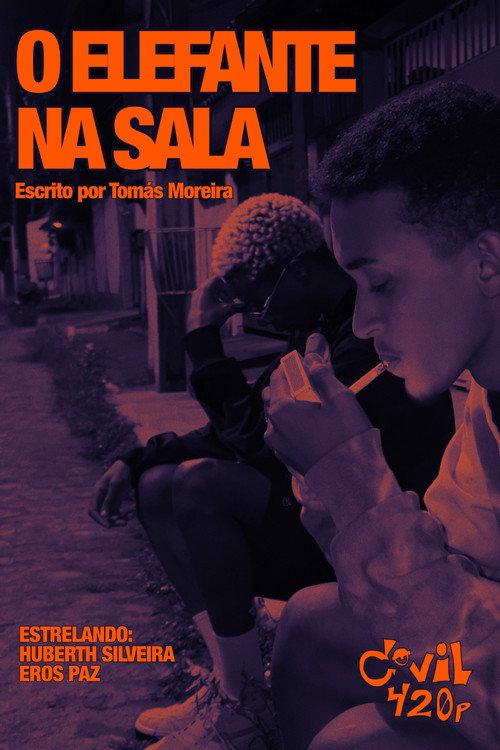 O ELEFANTE NA SALA 2026 official movie poster