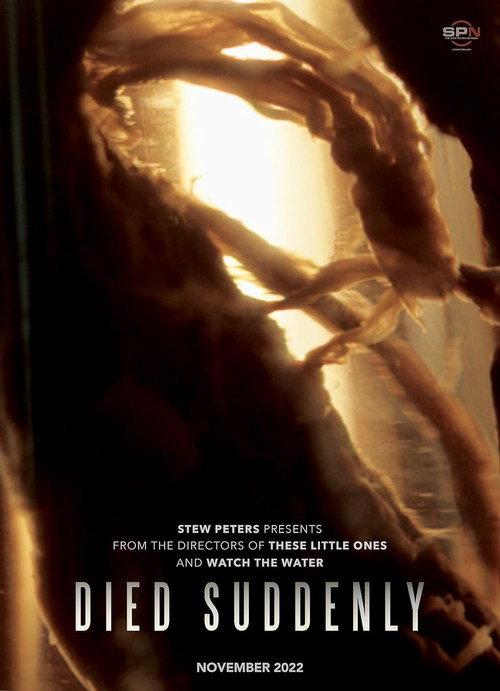 Died Suddenly 2022 official movie poster