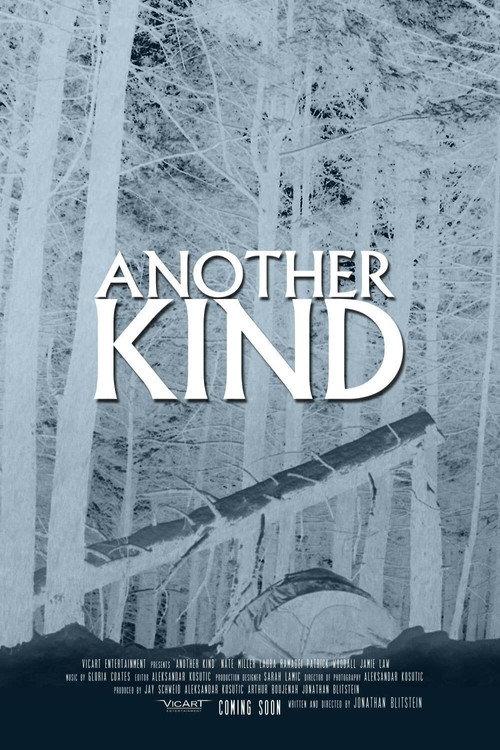 Another Kind 2013 official movie poster