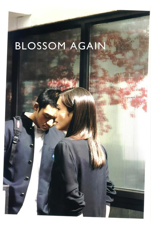 Blossom Again 2005 official movie poster