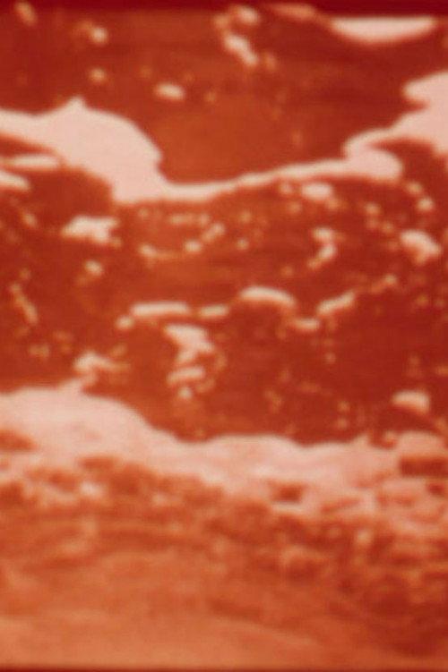 Aquarien 1974 official movie poster