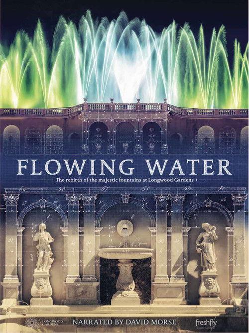Flowing Water 2017 official movie poster