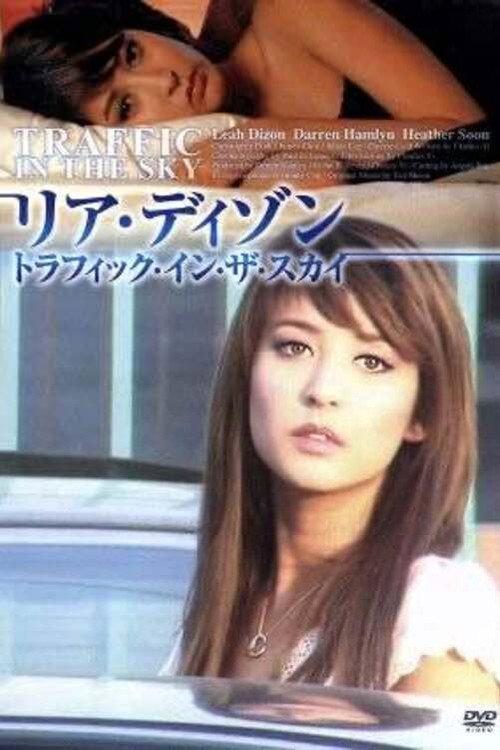 Traffic in the Sky 2007 official movie poster