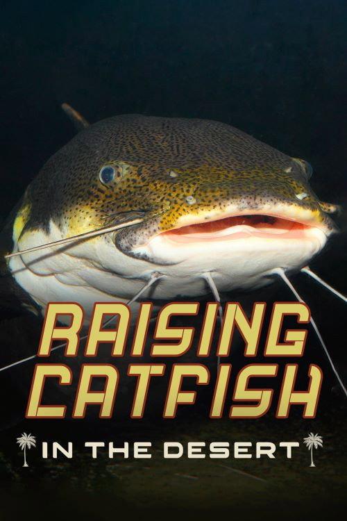 Raising Catfish in the Desert 2021 official movie poster
