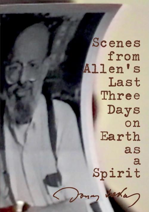 Scenes from Allen's Last Three Days on Earth as a Spirit 1997 official movie poster