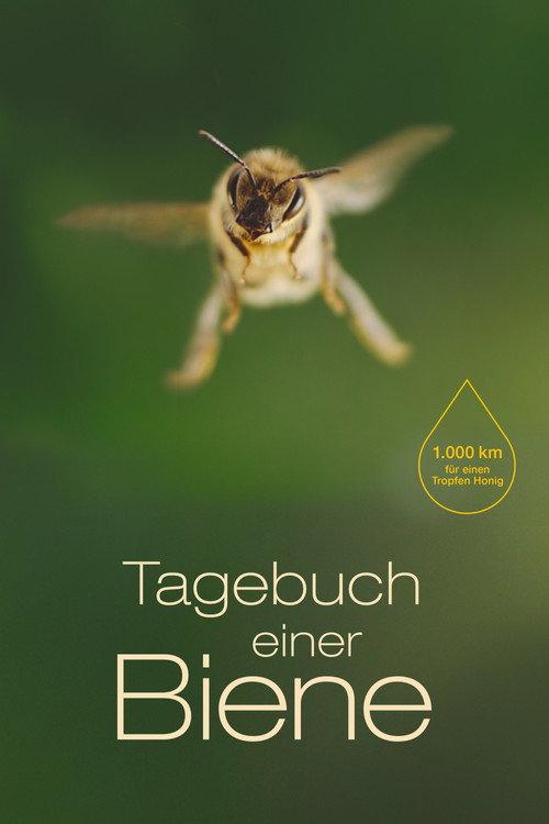 Diary of a Bee 2021 official movie poster