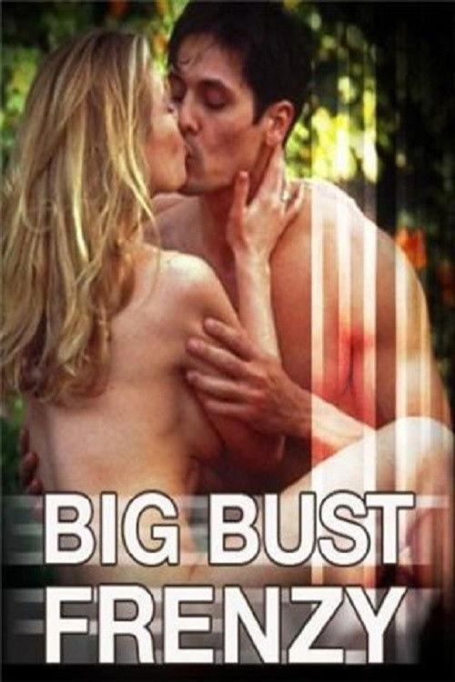 Big Bust Frenzy 2007 official movie poster