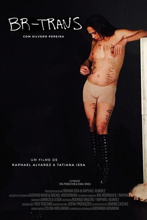 BR Trans 2021 official movie poster