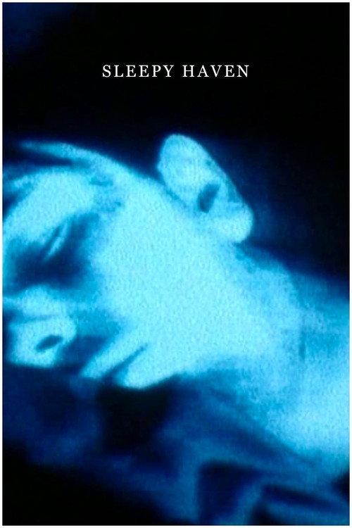 Sleepy Haven 1993 official movie poster