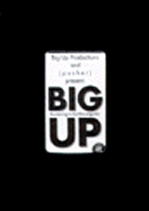 Big Up - Bouldering in the Gunks 1997 official movie poster