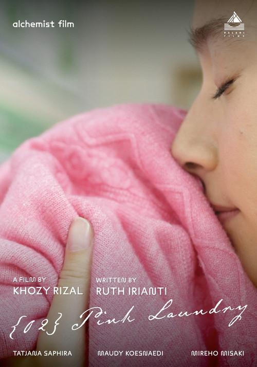 {02} PINK LAUNDRY 2025 official movie poster