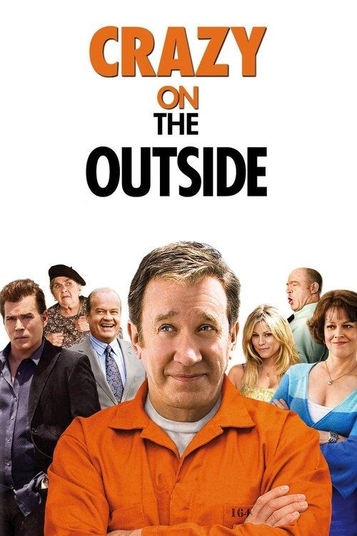 Crazy on the Outside 2010 official movie poster