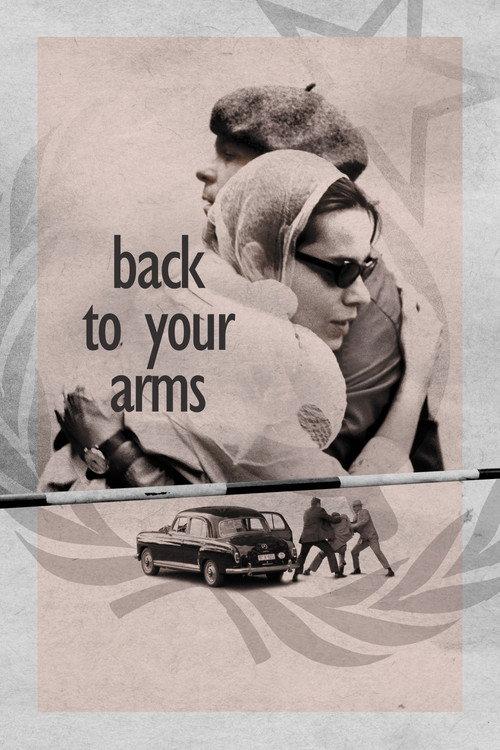 Back to Your Arms 2010 official movie poster