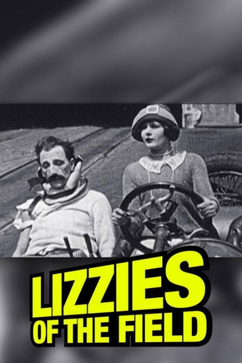 Lizzies of the Field 1924 official movie poster