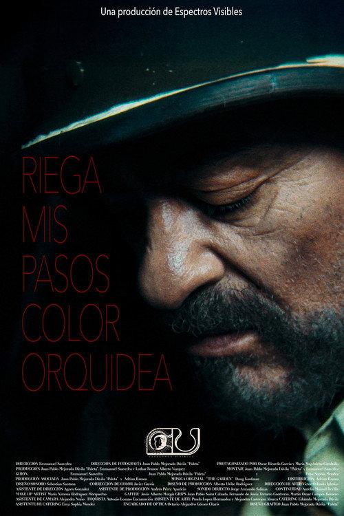 Water My Steps Orchid Color 2025 official movie poster