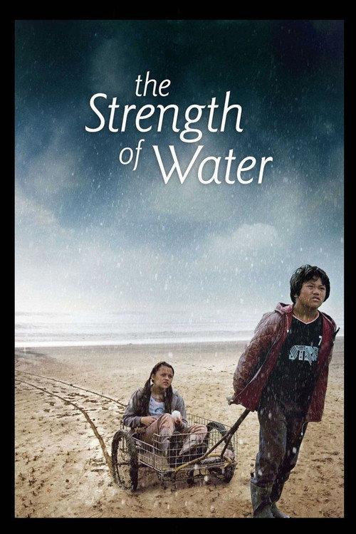 The Strength of Water 2009 official movie poster