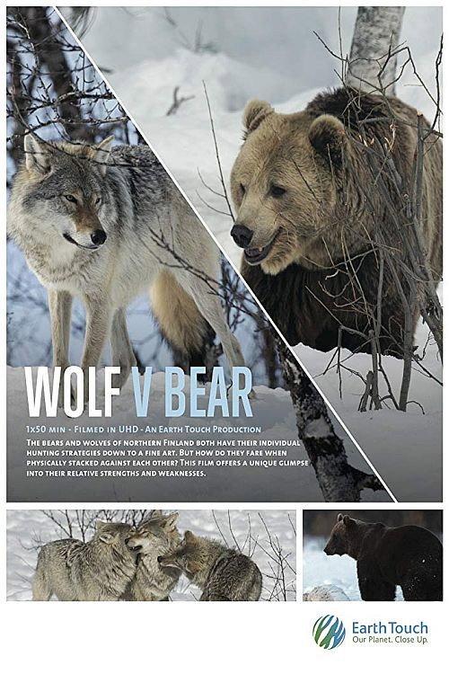Wolf vs Bear 2019 official movie poster