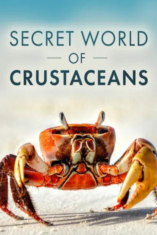 The Secret World of Crustaceans 2018 official movie poster