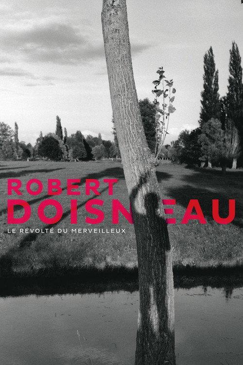 Robert Doisneau: Through the Lens 2017 official movie poster
