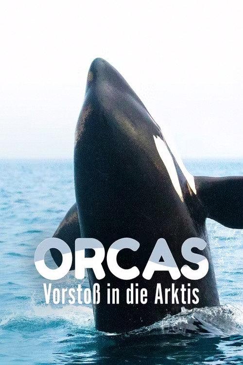 Orcas - Vorstoss in die Arktis 2014 official movie poster