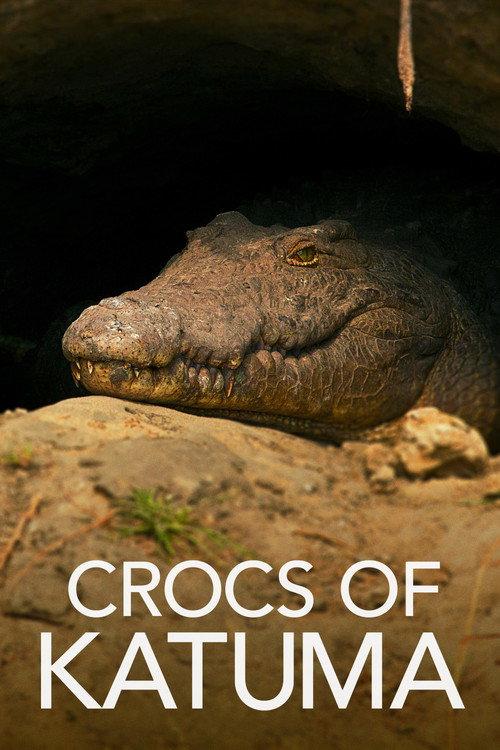 Crocs of Katuma 2010 official movie poster