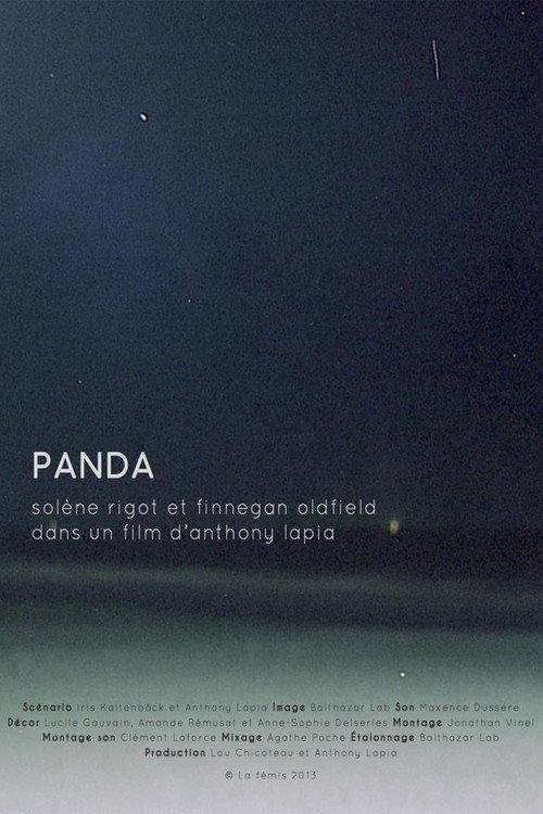 Panda 2014 official movie poster