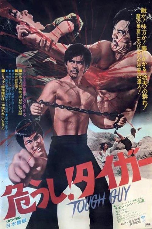 Revenge of the Dragon 1972 official movie poster