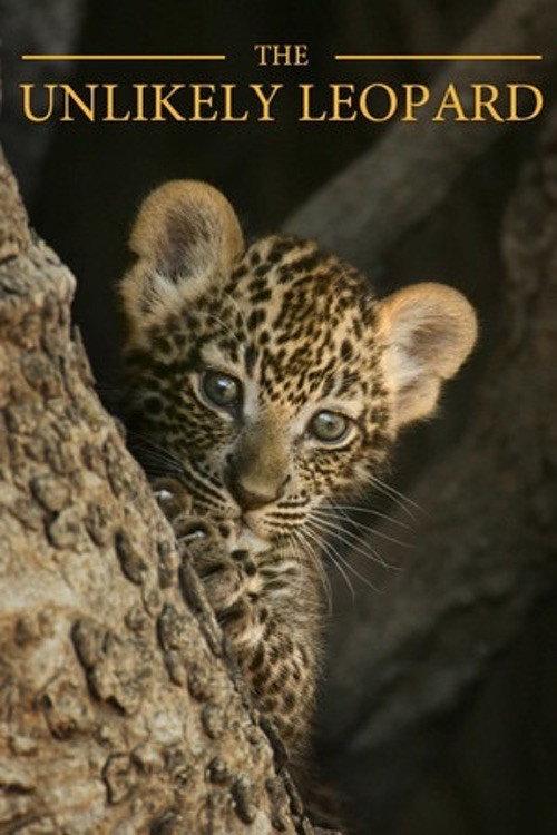 The Unlikely Leopard 2012 official movie poster