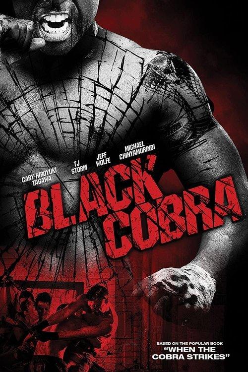 When the Cobra Strikes 2012 official movie poster