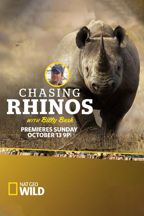 Chasing Rhinos with Billy Bush 2013 official movie poster