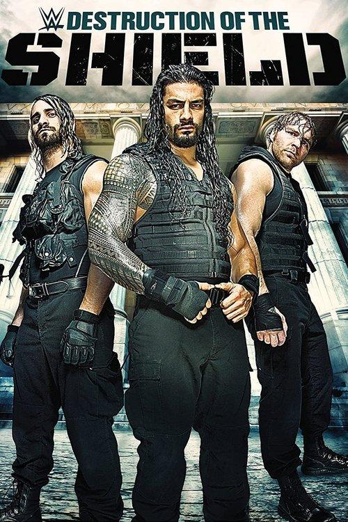 The Destruction of The Shield 2015 official movie poster