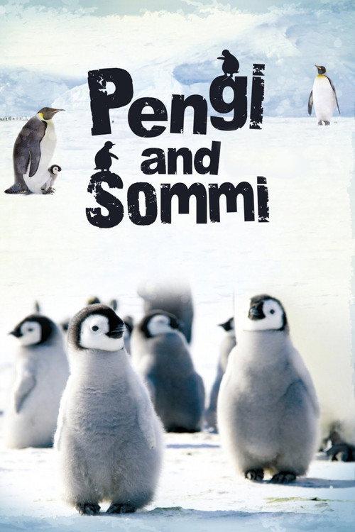 Pengi and Sommi 2012 official movie poster