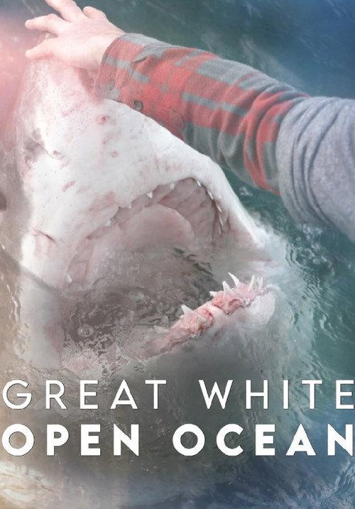 Great White Open Ocean 2022 official movie poster